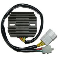 Regulator ELECTROSPORT
