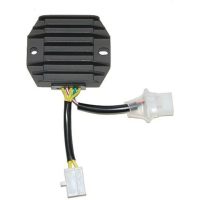Regulator ELECTROSPORT