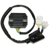 Regulator ELECTROSPORT