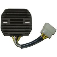 Regulator ELECTROSPORT