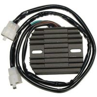 Regulator ELECTROSPORT