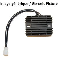 Regulator ELECTROSPORT