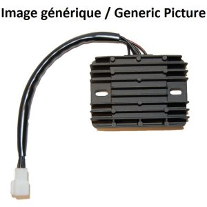 Regulator ELECTROSPORT