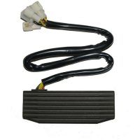 Regulator ELECTROSPORT