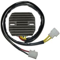 Regulator ELECTROSPORT