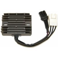 Regulator ELECTROSPORT