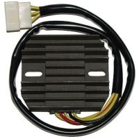 Regulator ELECTROSPORT