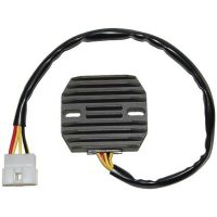 Regulator ELECTROSPORT