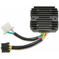 Regulator ELECTROSPORT