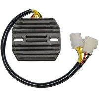 Regulator ELECTROSPORT