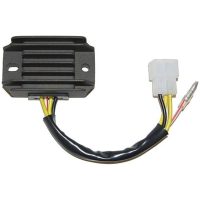 Regulator ELECTROSPORT