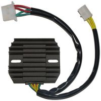 Regulator ELECTROSPORT