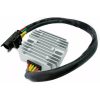 Regulator High-Performance MOTOPLAT Regulator – miniatyr 3