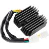 Regulator Litium Batteri RICKS MOTORSPORT 14 V – miniatyr 1