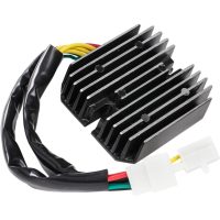 Regulator Litium Batteri RICKS MOTORSPORT