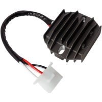 Regulator Litium Batteri RICKS MOTORSPORT