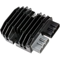 Regulator Litium Batteri RICKS MOTORSPORT