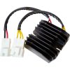 Regulator Litium Batteri RICKS MOTORSPORT 14 V – miniatyr 1