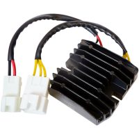 Regulator Litium Batteri RICKS MOTORSPORT