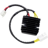 Regulator Litium Batteri RICKS MOTORSPORT