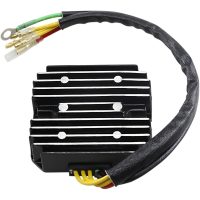 Regulator Litium Batteri RICKS MOTORSPORT