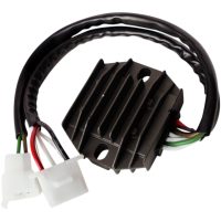 Regulator Litium Batteri RICKS MOTORSPORT
