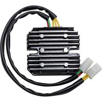 Regulator Litium Batteri RICKS MOTORSPORT