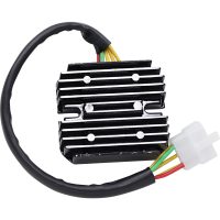 Regulator Litium Batteri RICKS MOTORSPORT