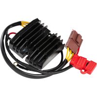 Regulator Litium Batteri RICKS MOTORSPORT