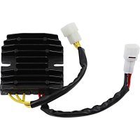 Regulator Litium Batteri RICKS MOTORSPORT