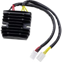 Regulator Litium Batteri RICKS MOTORSPORT