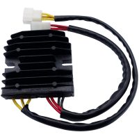 Regulator Litium Batteri RICKS MOTORSPORT