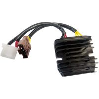Regulator Litium Batteri RICKS MOTORSPORT