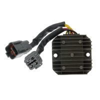 Regulator Standard 101 OCTANE