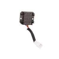 Regulator Standard 101 OCTANE