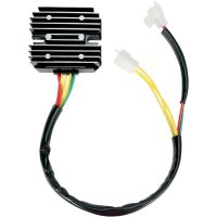 Regulator Standard OEM RICKS MOTORSPORT