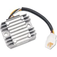 Regulator Standard OEM RICKS MOTORSPORT
