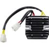 Regulator Standard RICKS MOTORSPORT 14 V – miniatyr 1