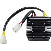 Regulator Standard RICKS MOTORSPORT