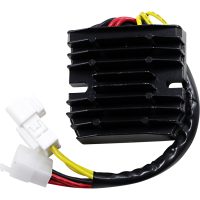 Regulator Standard RICKS MOTORSPORT
