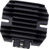 Regulator Standard RICKS MOTORSPORT Svart – miniatyr 1