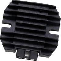 Regulator Standard RICKS MOTORSPORT