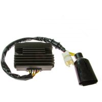 Regulator Tourmax