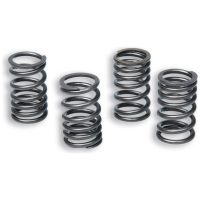Reinforced Clutch Spring Set With External ⌀15mm And Length 31.5mm for Clutch MALOSSI