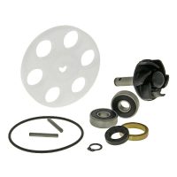 Reparationskit Vattenpump Standard 101 OCTANE