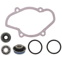 Reparationssats Vattenpump Sno-X
