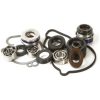 Reperations Kit Vattenpump HOT RODS Kit – miniatyr 1
