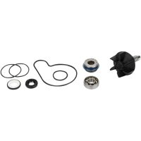 Reperationskit Vattenpump Kit PARTS EUROPE