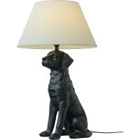 RETRIVER bordslampa