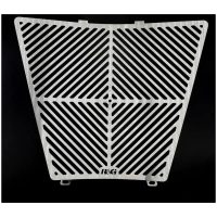 R&G RACING Radiator Guard (Stainless)